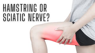 Celebrity Sciatic or Hamstring Tightness Net Worth