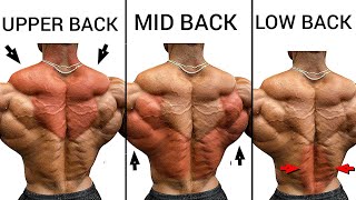 Best 5 Upper Back Middle Back and Lower Back to Build Bigger Back  Big Back Workouts