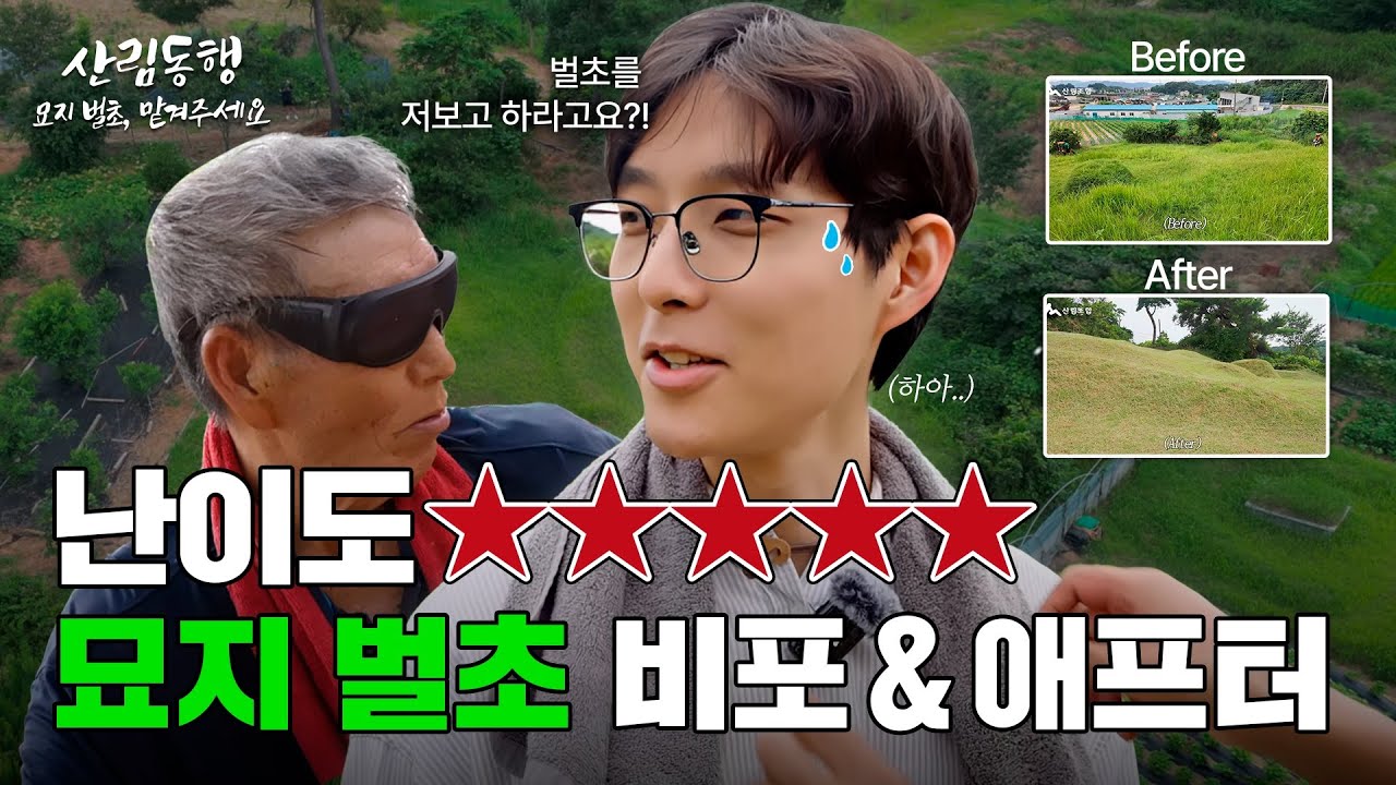 15년만에 예초기 다시 잡은 썰 푼다 #벌초 #추석 #산림조합