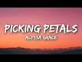 Alyssa Grace Picking Petals Lyrics mp3