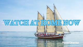 Game - The Wigofellas Movie 2 Teaser Trailer V2 - Reload The New Tuesday Weekend