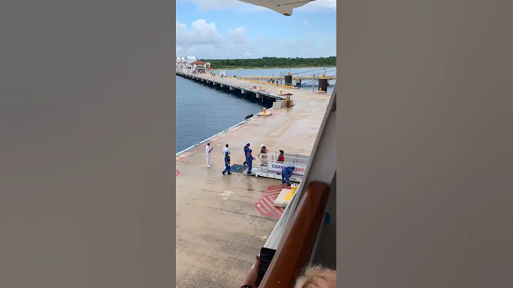 Another couple late for the cruise ship. Pier chasers! #pierchasers #pierrunners - DayDayNews