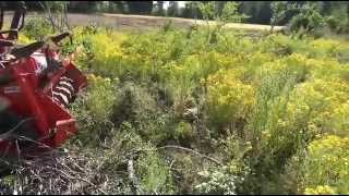 broyeur forestier bugnot sur souches
