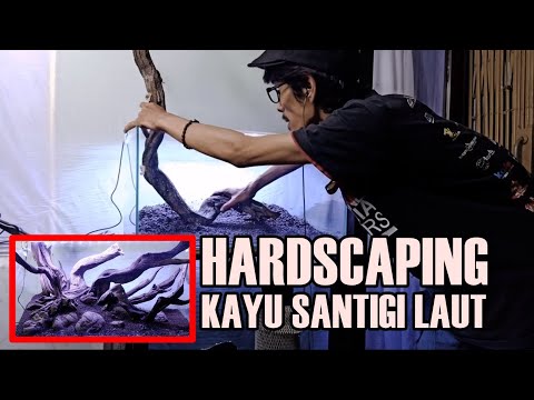 hardscaping-aquascape-menggunakan-santigi-laut---ranran-r-asgar