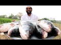 Fish Curry Recipe | FISH CURRY IN Tamarind juice By Nawabs kitchen| For little Angels