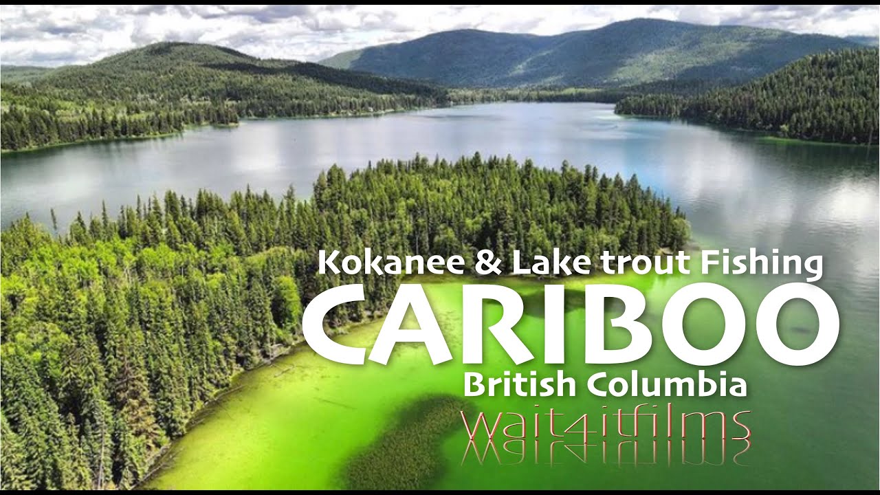 Kokanee and Lake Trout Fishing in the Cariboo, BC. - YouTube