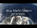 Blue Marlin Season 2020