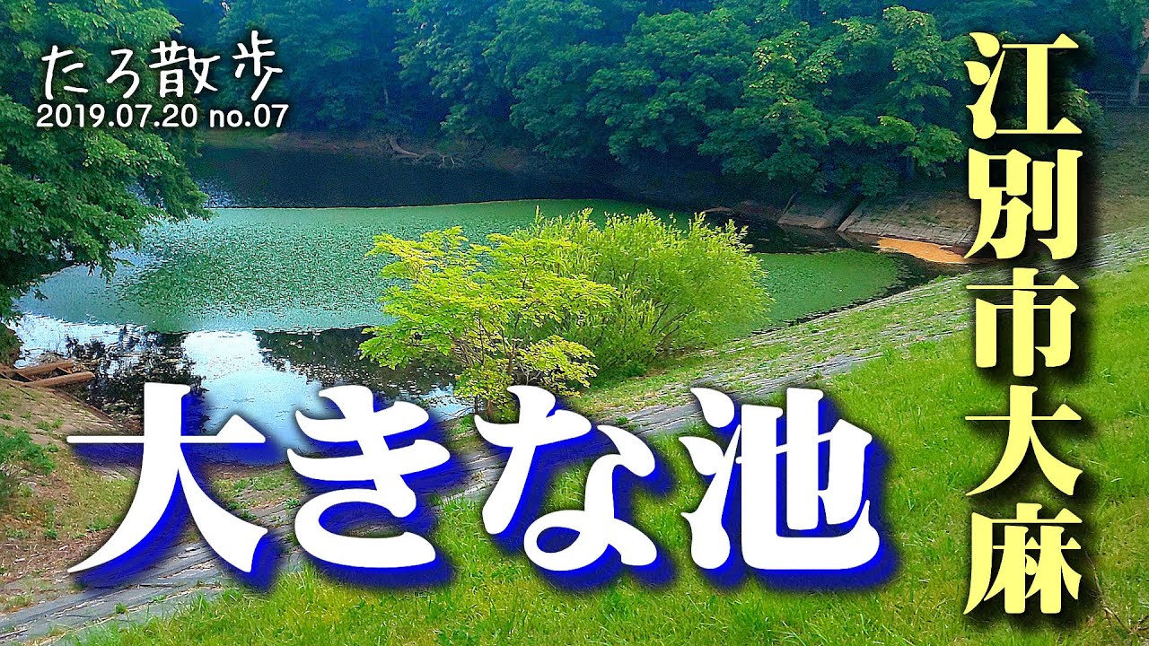 (07)【江別市大麻】街の中に大きな池があります