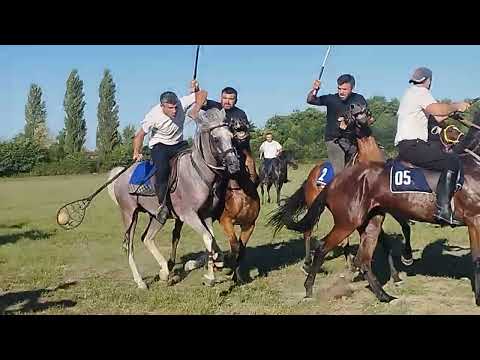 ვიდეო: შიგნიდან აივნების გაფორმება: ფოტოები, იდეები