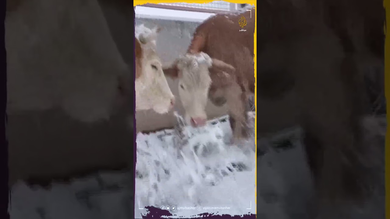 تساقط الثلوج على بعض المحافظات شمال وشرق تركيا
