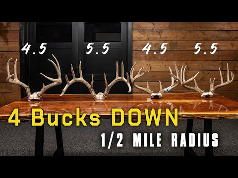 4 BUCKS in 1 YEAR | Whitetails From Scratch VLOG Update