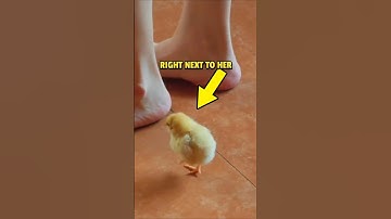 This MIGHT Be the Cutest Exercise Clip 🥰