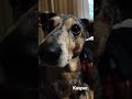 Kasper. Кто там.