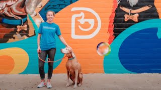 Unleashing Success: Meet Amber, a Multi-Unit Dogtopia Franchisee with a Passion for Dogs