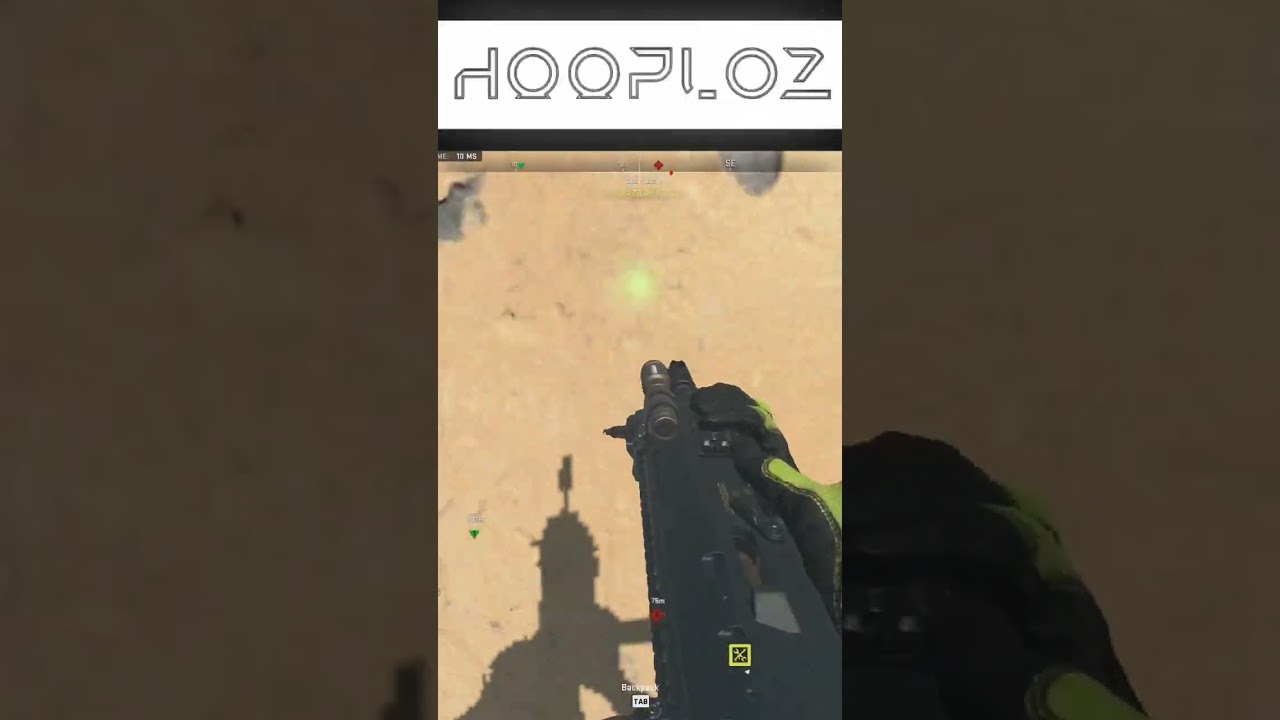 Idiots Playing Warzone Part: Gulag Gun