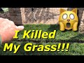 I Killed My Grass! - How To Edge Around Trees
