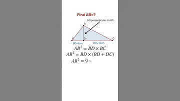 Class 10: Triangle |Pythagoras’ Theorem |School Maths