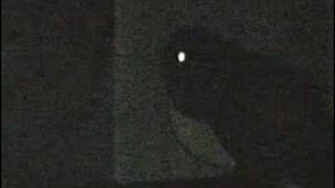 Barred Owl - Nov 4, 2am Monkey Call - Part2
