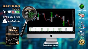 Hachiko Indicator Agressive preset launch process/ MT4/MT5.