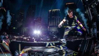 Lions In The Wild umf Intro Edit Hq   Martin Garrix  Third Party