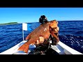 Finally some fresh fish! 3.2kg Mangrove Jack | Catch Fillet Cook | Spearfishing Gold Coast