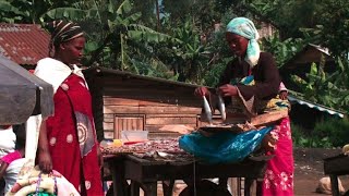 Elections en RDC: les habitants du Nord-Kivu veulent la sécurité