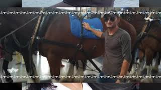 Krum i aneliq obicham te