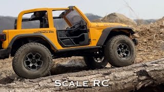 This is a 1/10 Rubicon custom-made by "Emotional RC".