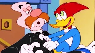 Woody Woodpecker Show | Cyrano De Woody Woodpecker | Full Episode | Cartoons For Children