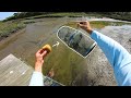 Minnow Trap Fishing to Catch Dinner - Easiest Way to Catch Fresh Bait!!