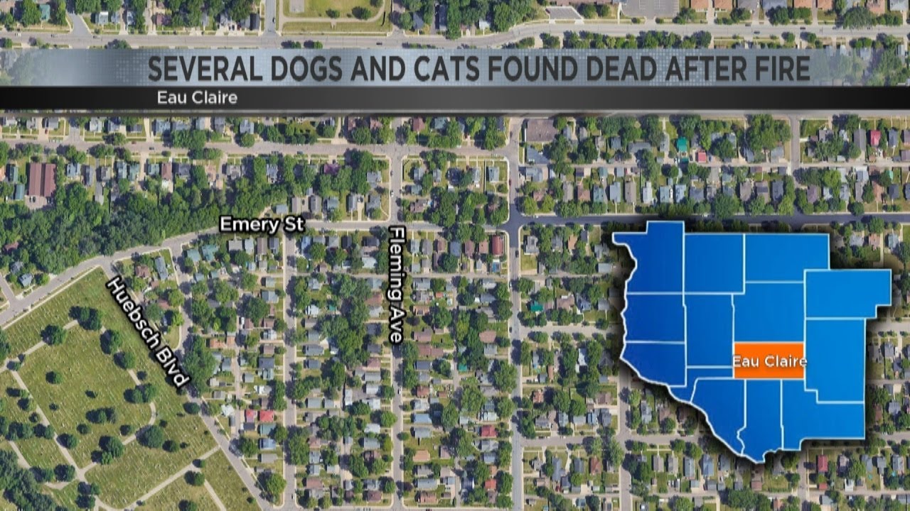 Several cats and dogs found dead after fire - YouTube