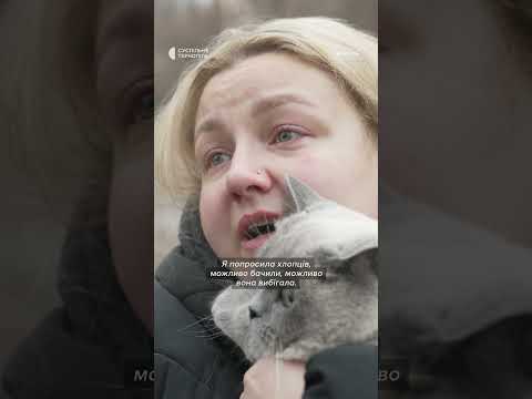 Хозяйка спасенной кошки не сдерживает слез