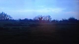 14 mth old lady hare coursing