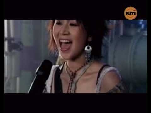 MV Cherry Filter   낭만 고양이