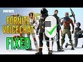 Voice Chat Not Working Fortnite Pc