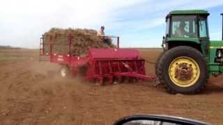 Sprigging coastal