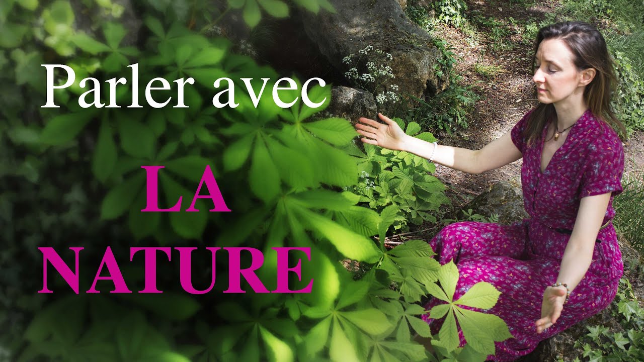 Comment contacter les énergies d'un arbre facilement ?