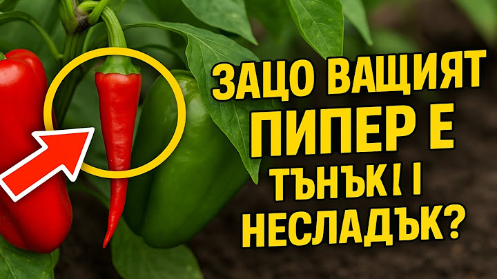 Защо вашият пипер е тънък и несладък? Правите тези четири грешки!