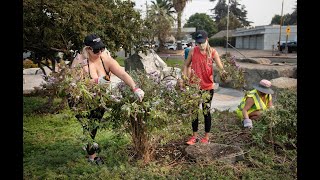 Love Modesto brings out thousands to help in citywide cleanup