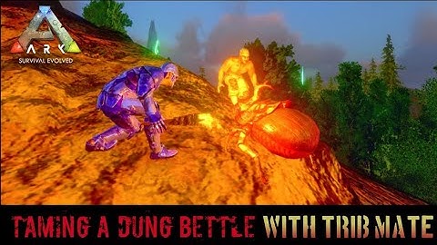Dung Bettle Tame Ark Mobile ZN Gaming