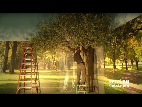 City of Grand Prairie: Main Library Makeover May Update - YouTube