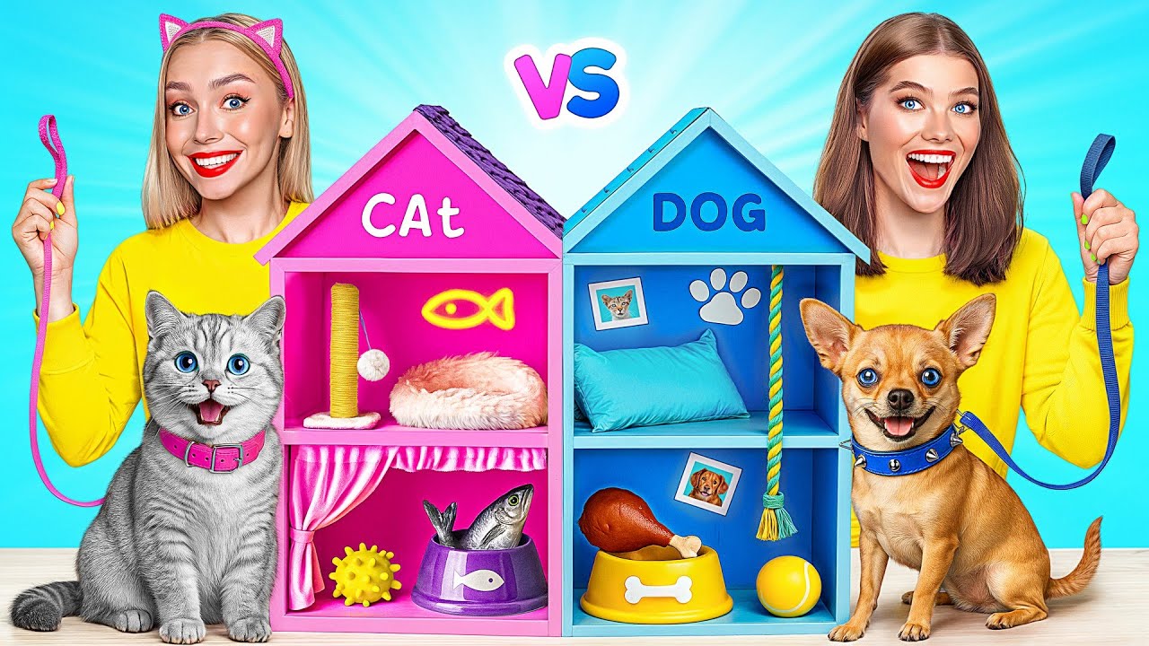 Мы Построили Маленький Домик для Животных | Сумасшедший Челлендж от Multi DO Smile