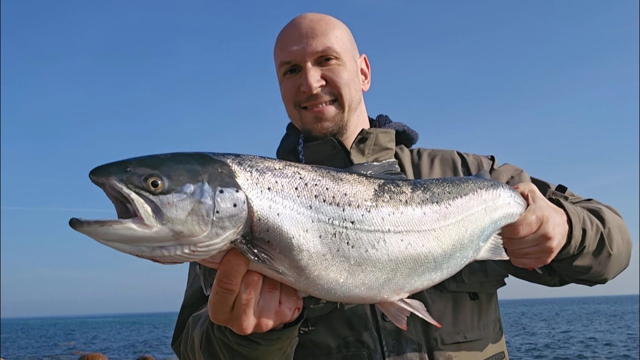 Viele bissige MEERFORELLEN + 70 cm MEFO + Catch & Cook 🎣 🍽 