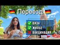 Как переехать в Германию | Оформление визы в ЕС, аренда жилья в Берлине, переезд с домашним животным