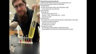 Phenol Red Carbohydrate Broth