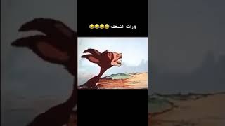 حمار 😂😂