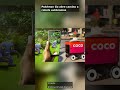 =Pokémon Go abre camino a robots autónomos