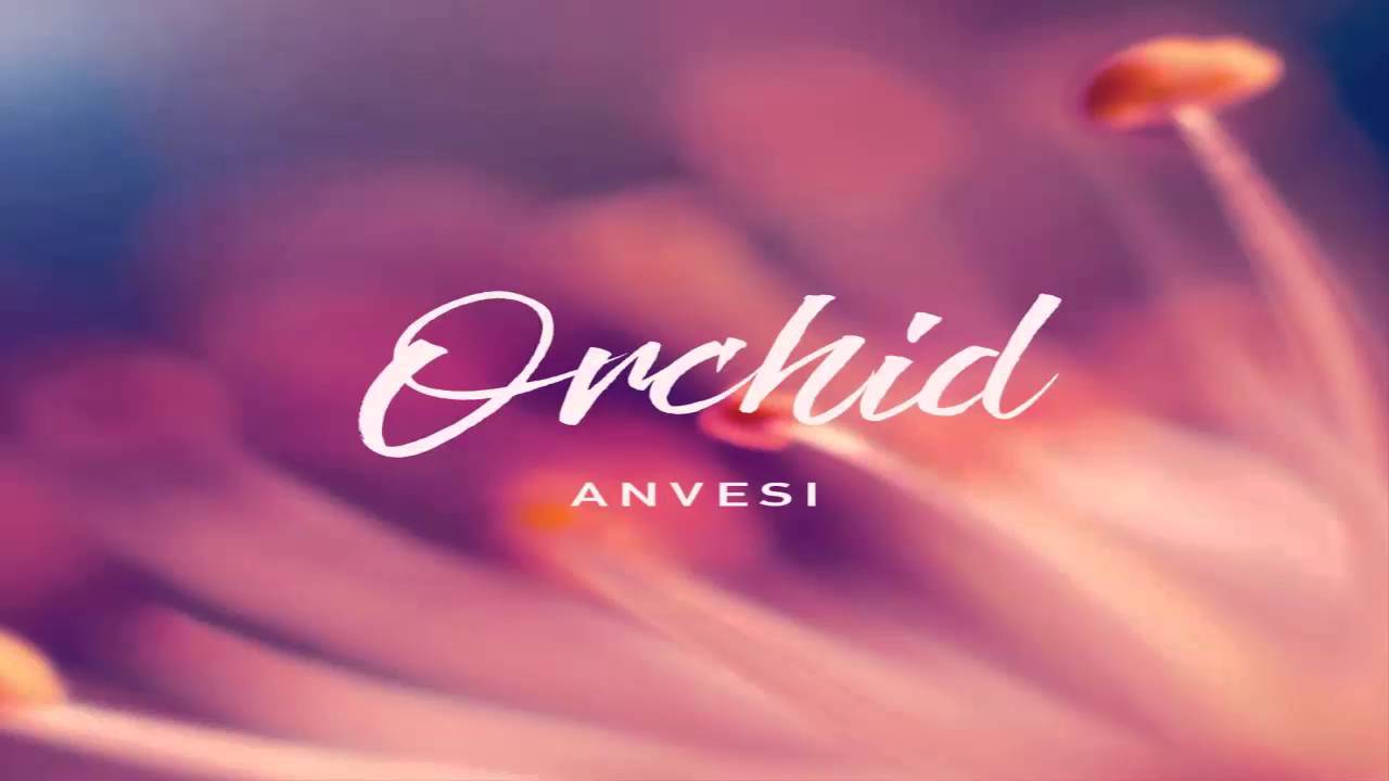 Anvesi - Orchid