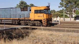 Junee trains NR72, NR81 & NR52