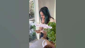 The Stages of Playing Tetris Block Party #TetrisBlockParty  #Tetriminos  #Tetris